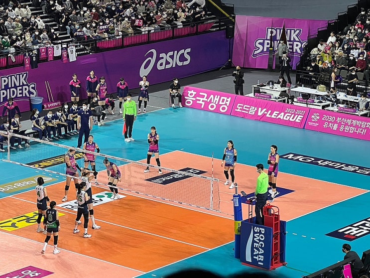 <b>흥국생명</b>vs<b>현대건설</b> 배구 직관, <b>김연경</b>선수 경기