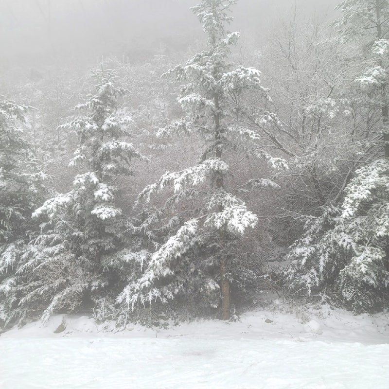 [스키]230115/곤지암스키장/나도 금잔디 탈출할래☃/본격 초보스키탈출기/서울근교스키장추천