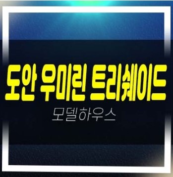  도안 우미린 트리쉐이드 용계동 도안지구 미분양아파트 분양가격 잔여세대 주택전시관 유니트 관람 및 투자!