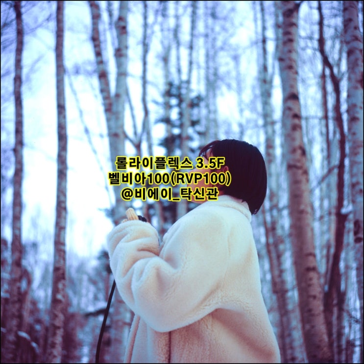  롤라이플렉스 Rolleiflex 3.5F｜벨비아100(RVP100, Velvia100)｜슬라이드 중형 필름사진 비에이가볼만한곳 탁신관 겨울 풍경