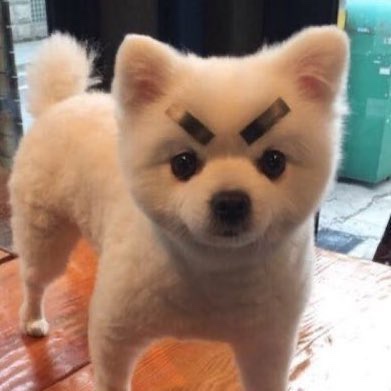  근황겸..이것저것