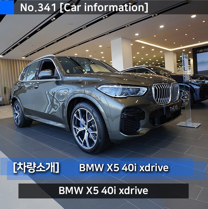 BMW X5 40i / M50i / 30d / 45e / X5M 7인승 및 플러그인 하이브리드 연비,가격 비교