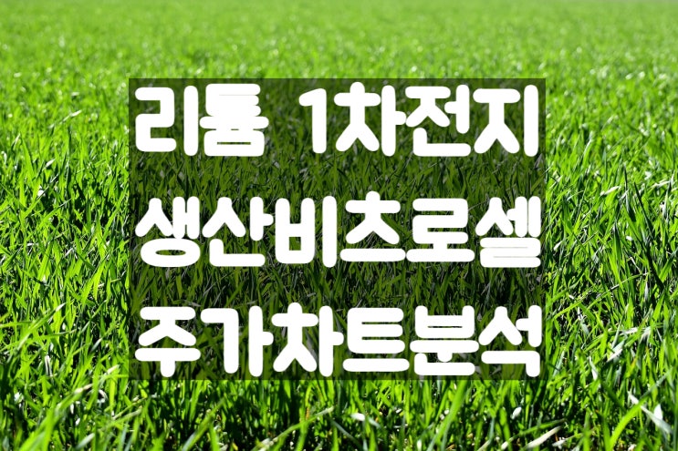 리튬전지 1차전지 생산 비츠로셀 주가 전망 및 실적 분석