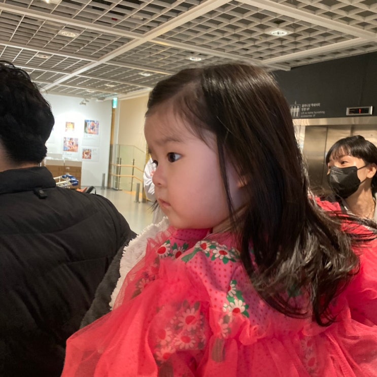  라라.일상 2023 01 14 주말 늦은 오후 기록 (고양 이케아)