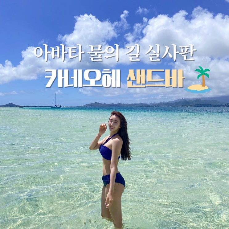 하와이 신혼여행 후회 없을 카네오헤 샌드바 투어 - 아바타 물의 길 실사판