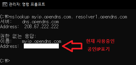  CMD 창에서 공인IP 확인