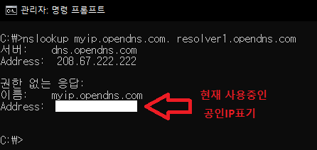 CMD 창에서 공인IP 확인