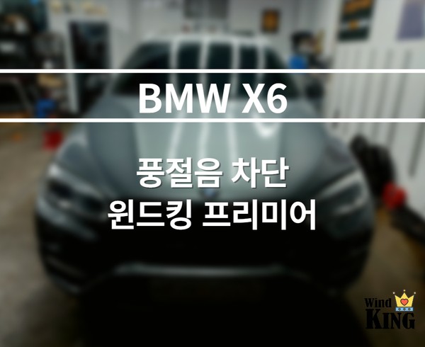 BMW X6 [찬바람/미세먼지/풍절음차단 윈드킹 프리미어몰딩]시공기