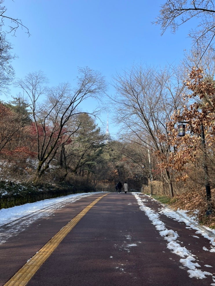 남산둘레길 가는법 산책과 러닝훈련하기 좋은곳