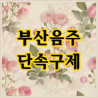 부산 음주운전 단속 상시 실시되고 있습니다 부산 음주운전 단속 상시 실시되고 있습니다