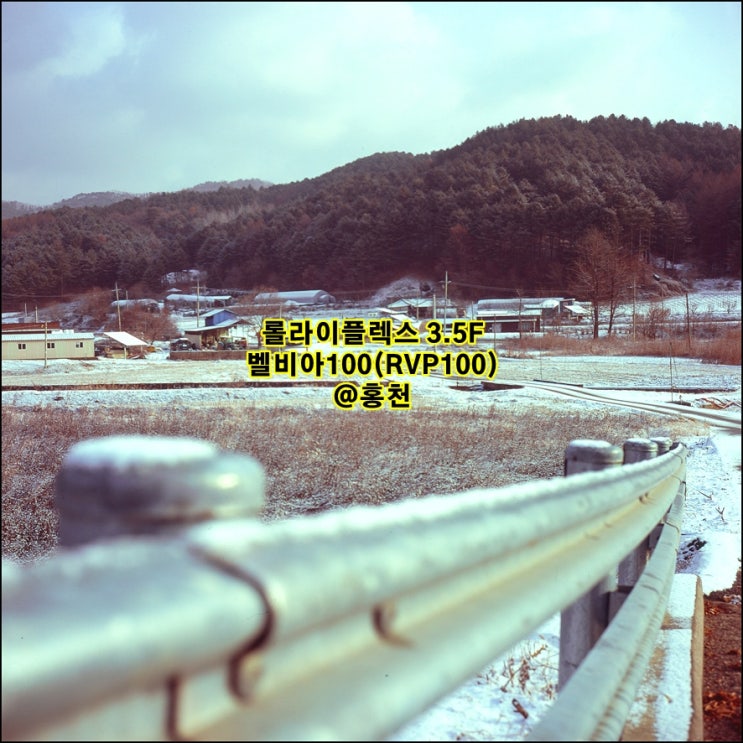  롤라이플렉스 Rolleiflex 3.5F｜벨비아100(RVP100, Velvia100)｜슬라이드 중형 필름사진 눈이 소복히 내린 홍천
