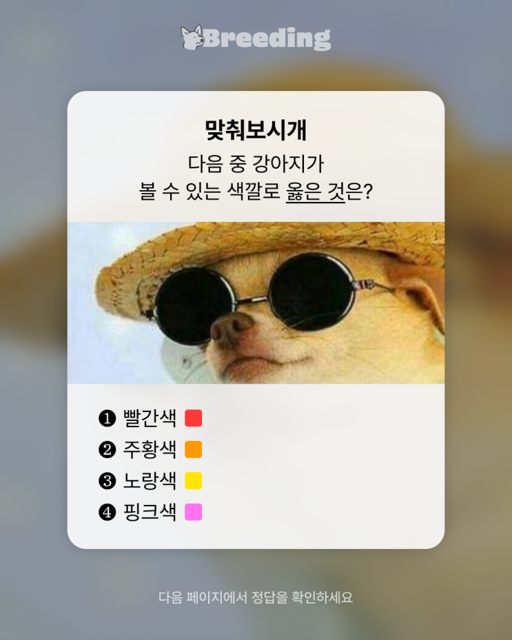 강아지가 보는 세상은 어떤 색일까요? #강아지 색맹