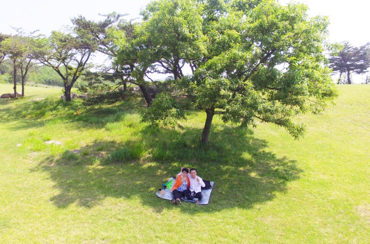  2016.5 경주 ok그린오토캠핑장 주변(조학환목사)