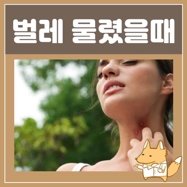  스키터증후군 모기 알레르기 : 버물리 써버쿨 디펜히드라민 모기 벌레 물렸을때