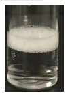  분산안정성 유화안정성 Application TS STAB 65 Foam-Studies2