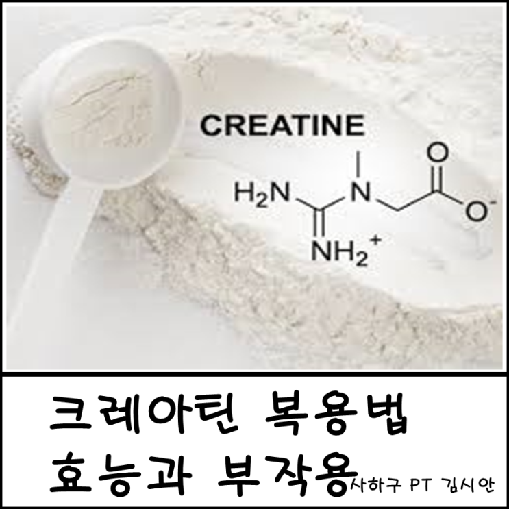 크레아틴 복용법, 효능과 부작용 크레아틴 복용법, 효능과 부작용