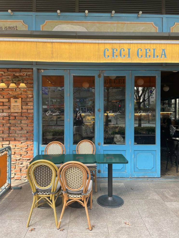  [판교] 세시셀라 CECL CELA