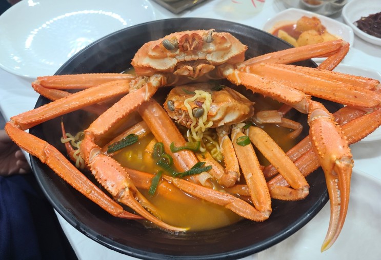 속초 아바이마을에서 가장 친절한 식당 '고원'
