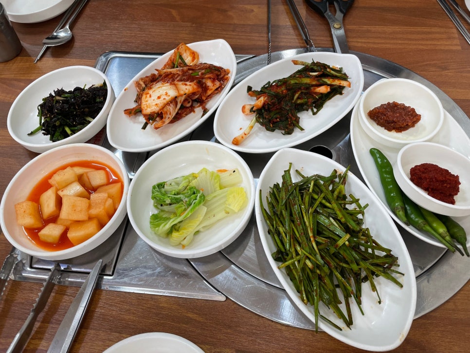 솔가 사진 5