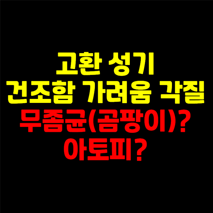  생식기가 건조하면서 가려움이 심하고 각질이 올라오는데 아토피일까요? (부제: 고환습진 성기아토피, 가려움증 가라앉히는 방법)