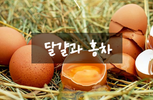  달걀과 홍차는 따로 드세요