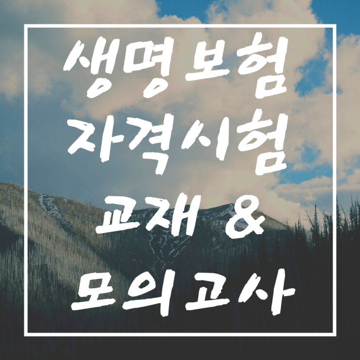  생명보험 자격시험 교재 및 모의고사 제공