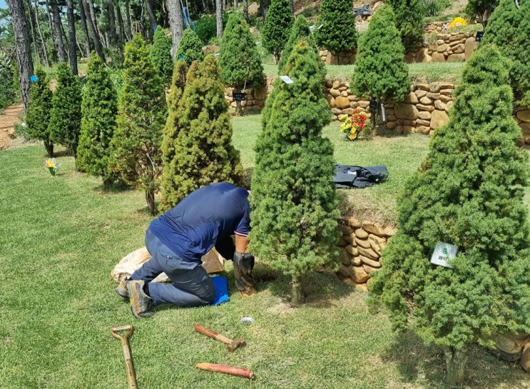  수목장 블로거 생존알림 합니다