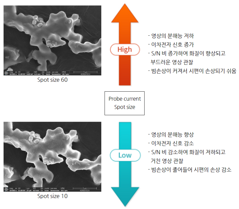 SEM (Scanning Electron Microscope) : 네이버 블로그