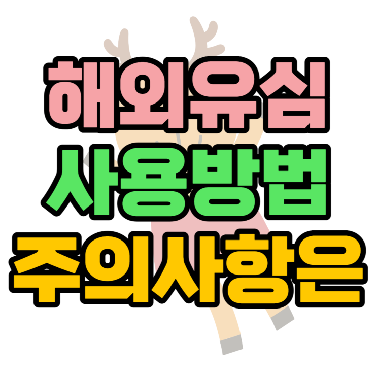  해외 유심 사용방법 요금제부터 주의사항까지