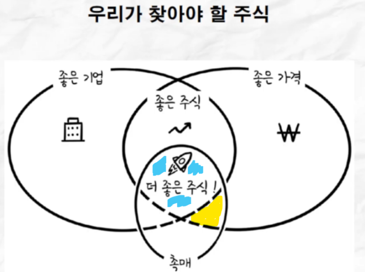  우리가 찾아야 할 주식(최준철 대표님)