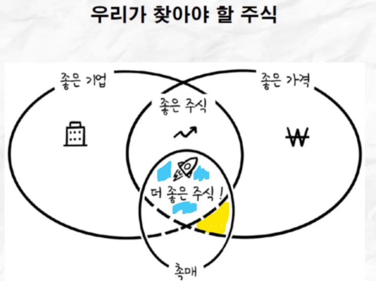 우리가 찾아야 할 주식(최준철 대표님)