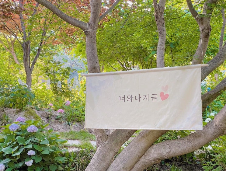  경기도 가평 데이트 필수 코스 밤낮으로 예쁜 아침고요수목원