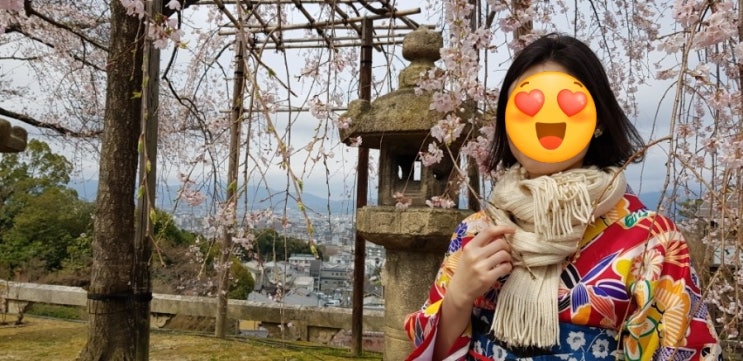  [엄마랑 교토 벚꽃 여행] 기모노 입고 청수사 산책 (+ 기요미즈데라, 오카모토 기모노샵 예약 방법 등)