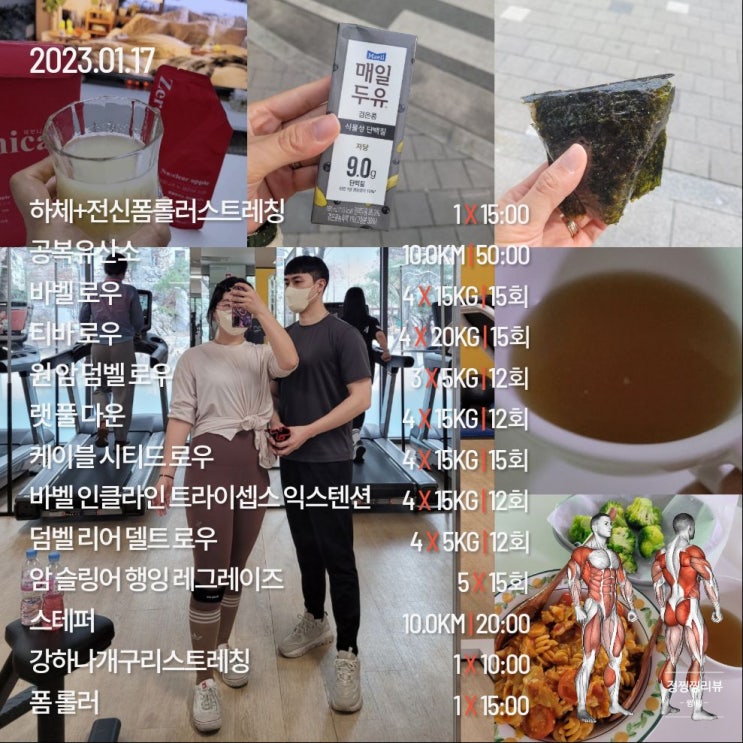  운동하는새댁 상체운동 1월17일일상