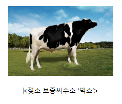새해 젖소 개량 이끌 최고 능력 보증씨수소 선발 새해 젖소 개량 이끌 최고 능력 보증씨수소 선발