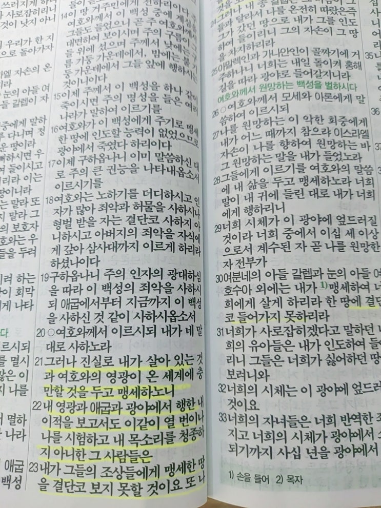  115 - 습관 마스터