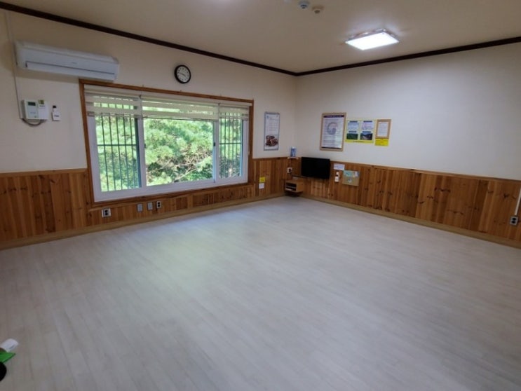  [원주] 백운산자연휴양림, 숲속수련장, 꽃마리, 강원도, 국립휴양림