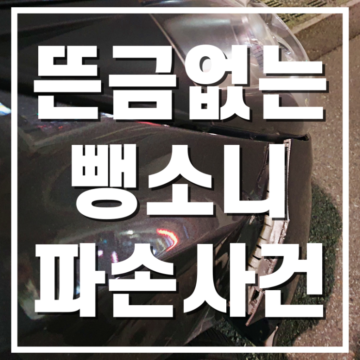  [본격새드미스터리] 왜 그냥 가셨어요? : 물피도주 추리의날