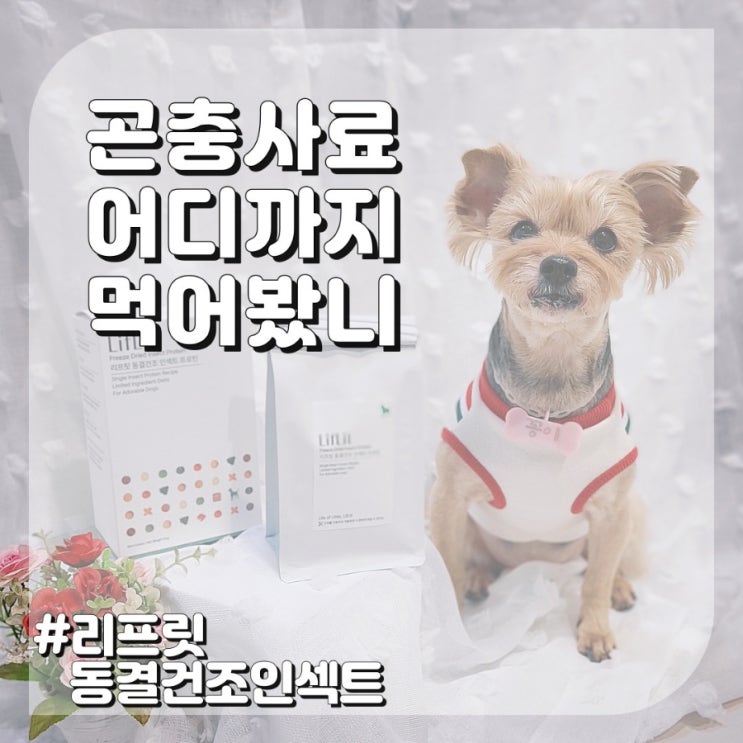  강아지 곤충사료 동결건조로 음수량 UP 기호성 좋은 사료로 추천