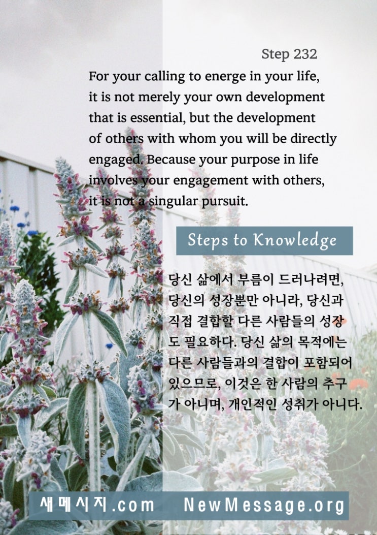 제 232 계단: 삶에서 내 부름이 드러나려면, 다른 사람들의 성장이 필요하다 My calling in life requires the development of others