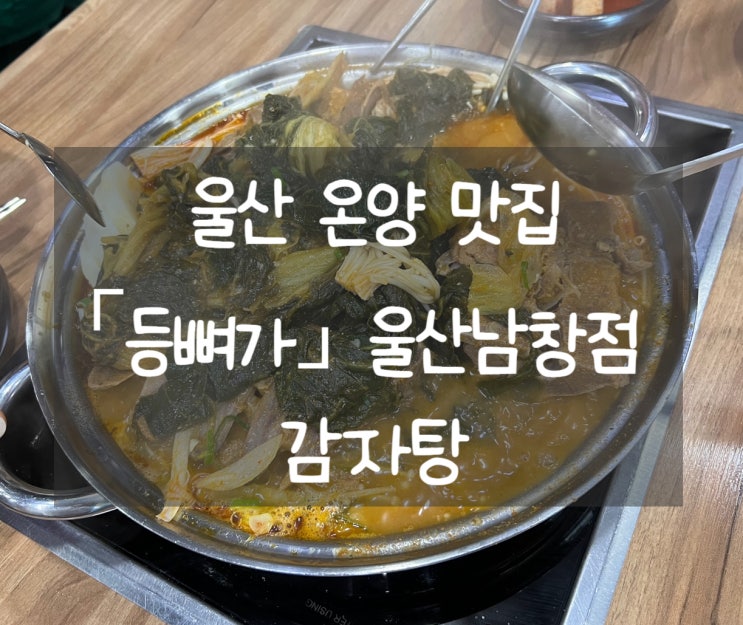 [울산 울주]등뼈가 울산남창점: 온양 남창 감자탕 맛집