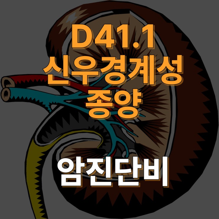 D41.1 신우의 행동양식 불명 또는 미상의 신생물 암진단비 검토!!