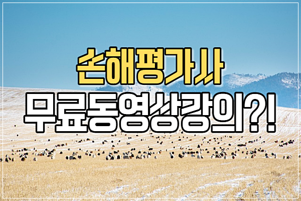 손해평가사 무료동영상강의 ! 추천 (필독)