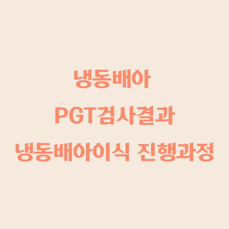  시험관 인공주기 냉동배아이식, PGT 검사결과 후기! 이식진행과정
