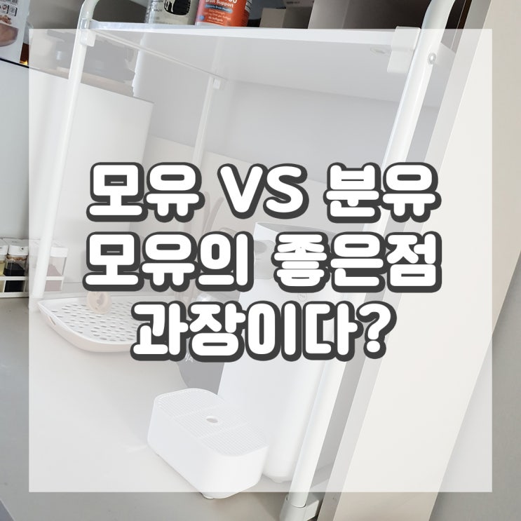  모유 vs 분유 지능차이 면역체계 아토피 천식에 관한 논문