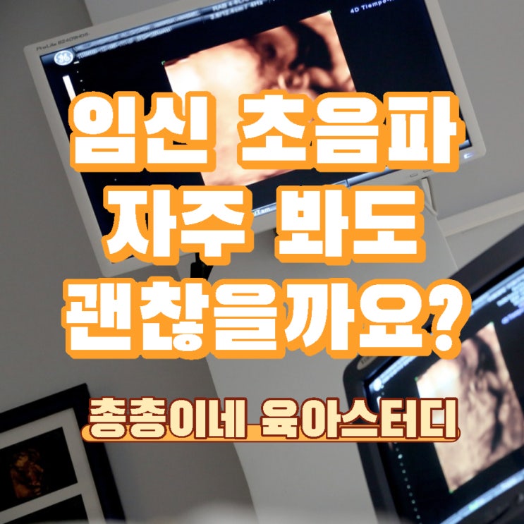  임신 초음파 검사 자주 봐도 될까요? 미치는 영향 사진 정밀 차이
