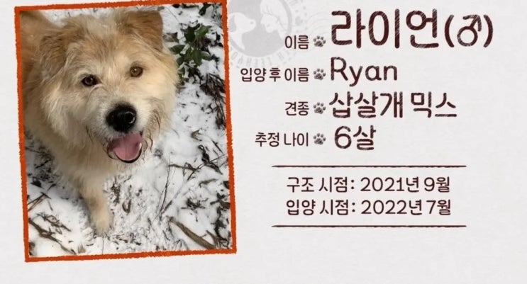  [캐나다 체크인] 한 번 결정을 내리고 나면 그걸 끝까지 따라야죠