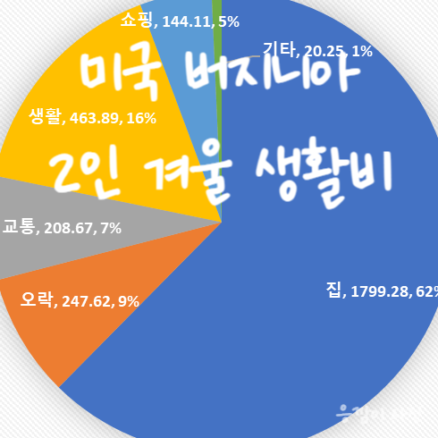  미국 생활비 버지니아 신혼부부 2달치 평균내봤어요! 11월 12월 겨울 생활비는 얼마일까요