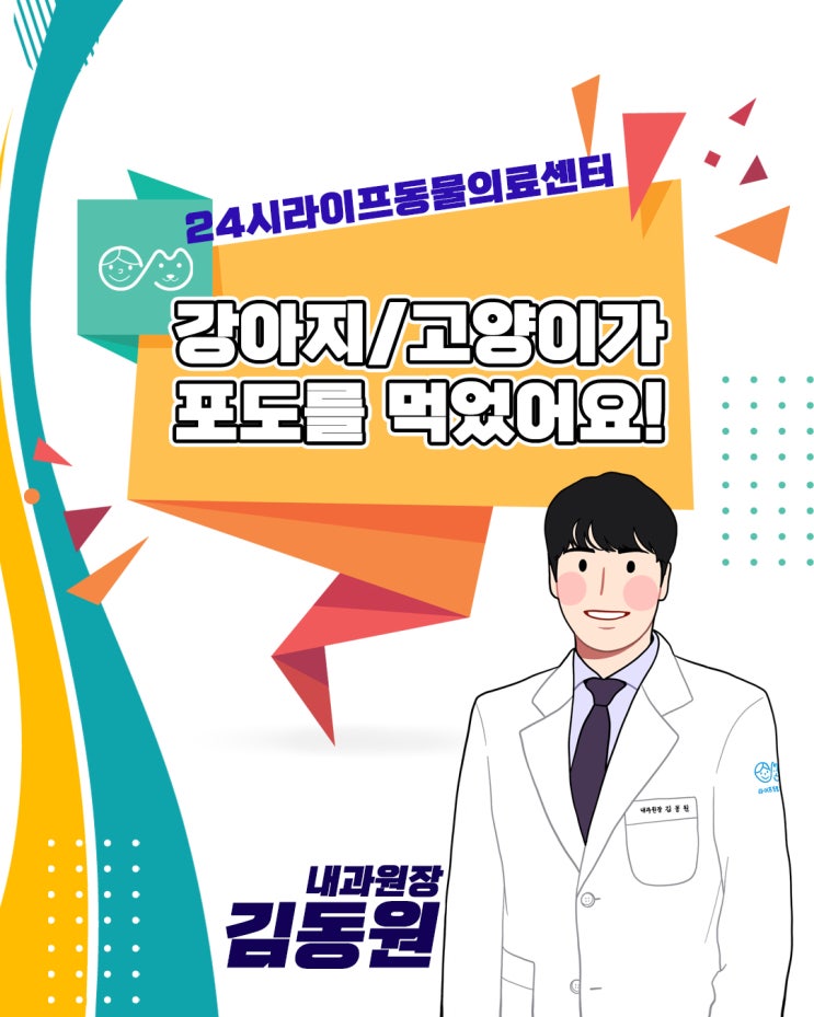 대구24시동물병원 : 강아지 고양이가 샤인머스캣을 먹었어요! 반려동물 응급상황 대구24시동물병원 : 강아지 고양이가 샤인머스캣을 먹었어요! 반려동물 응급상황
