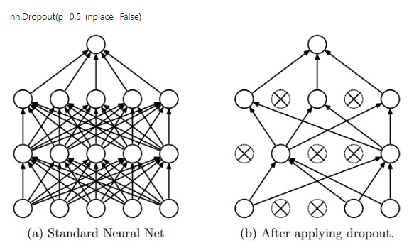  PyTorch : Dropout